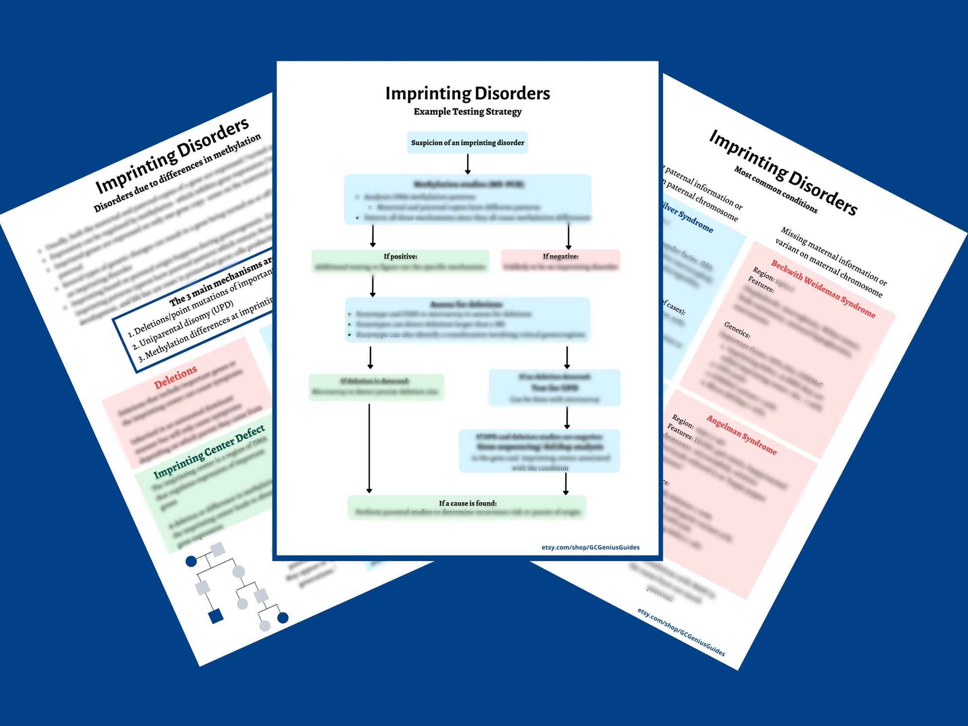 Guide to imprinting disorders for genetic counselors