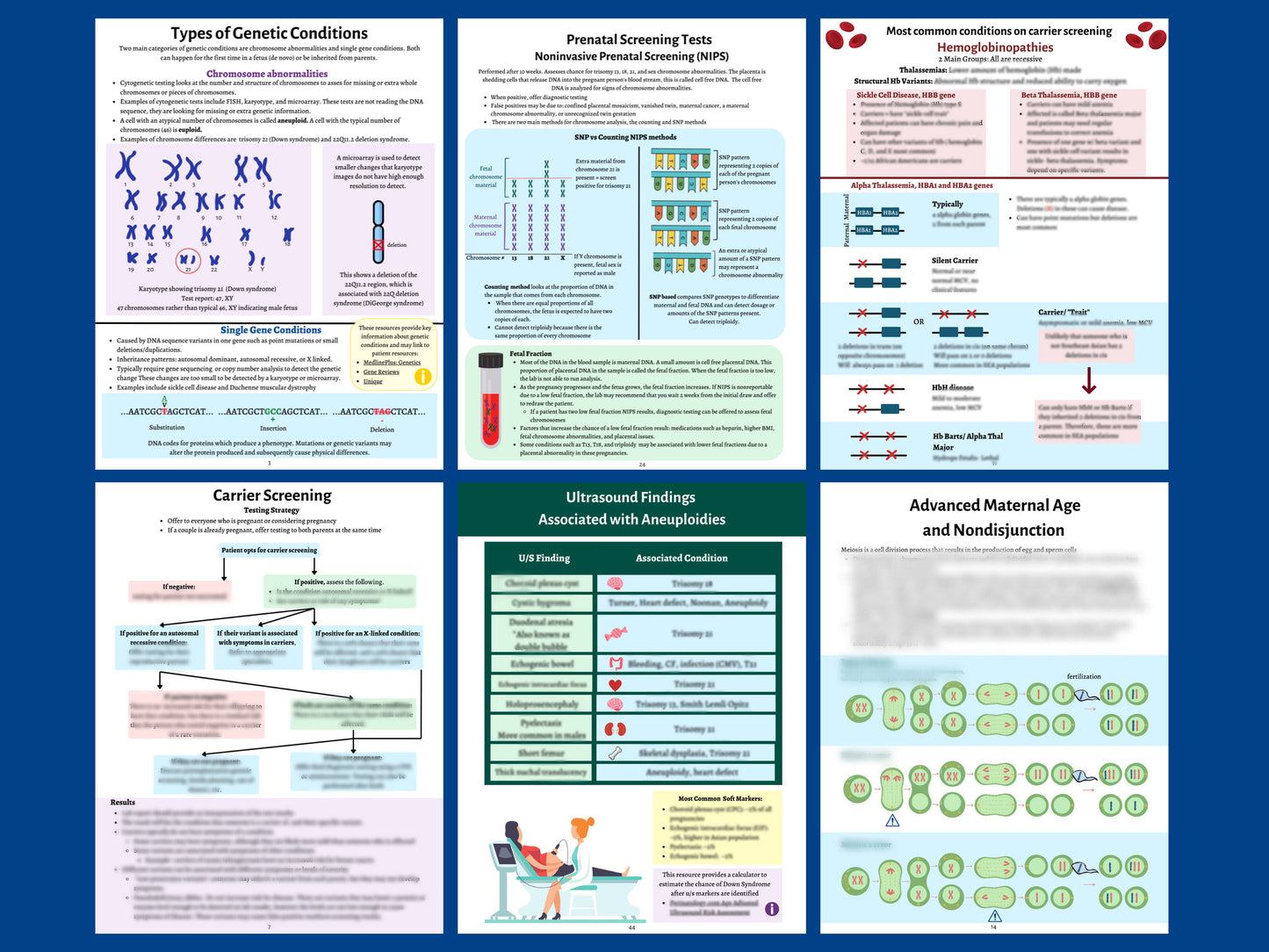 Guide to Reproductive Genetic Testing for Healthcare Professionals