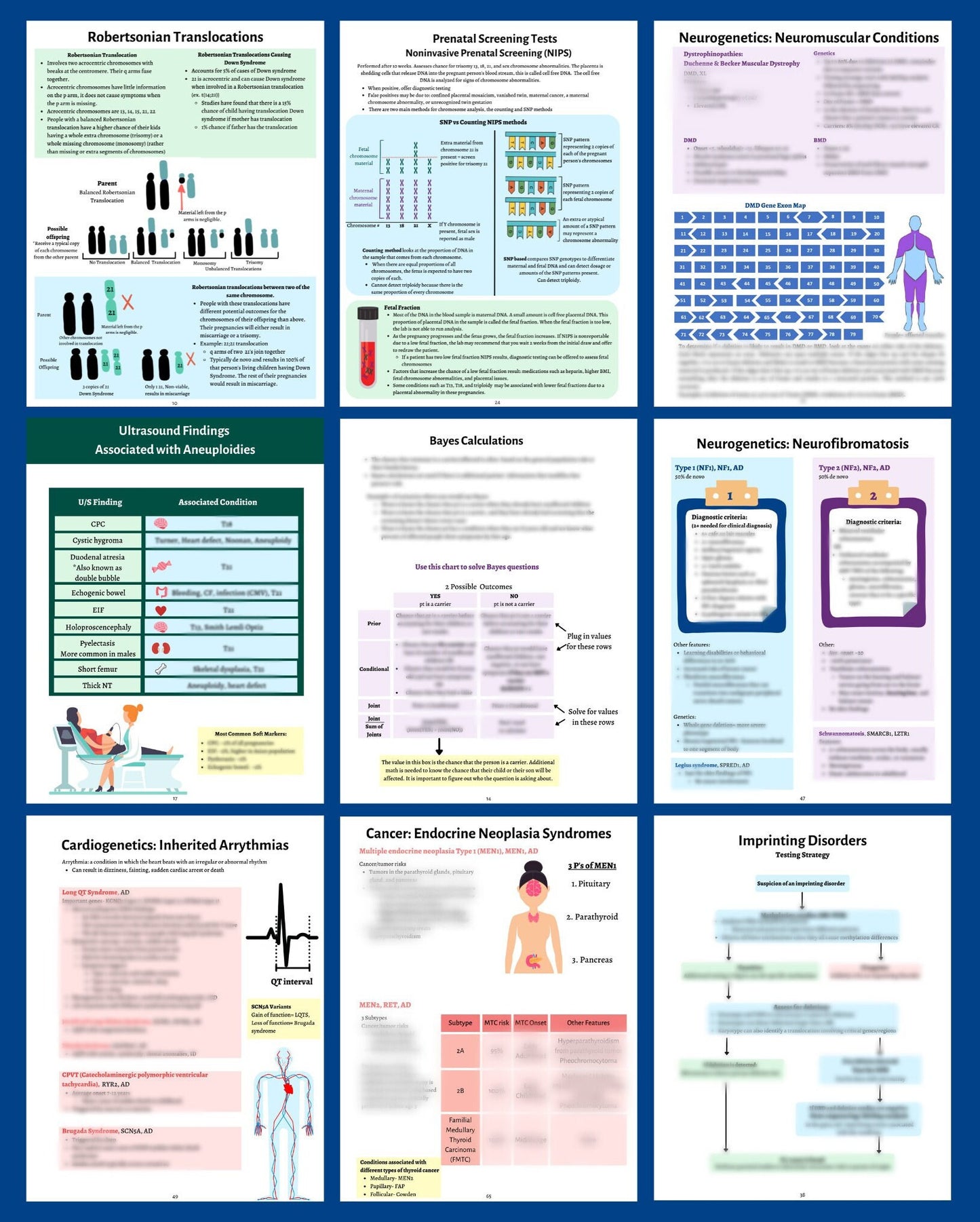 Genetic Counseling Complete Study Guide | Printed and Shipped | 2nd ed.