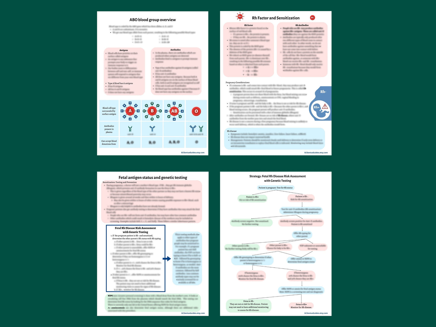 Guide to Fetal Antigens for Prenatal Genetic Counselors