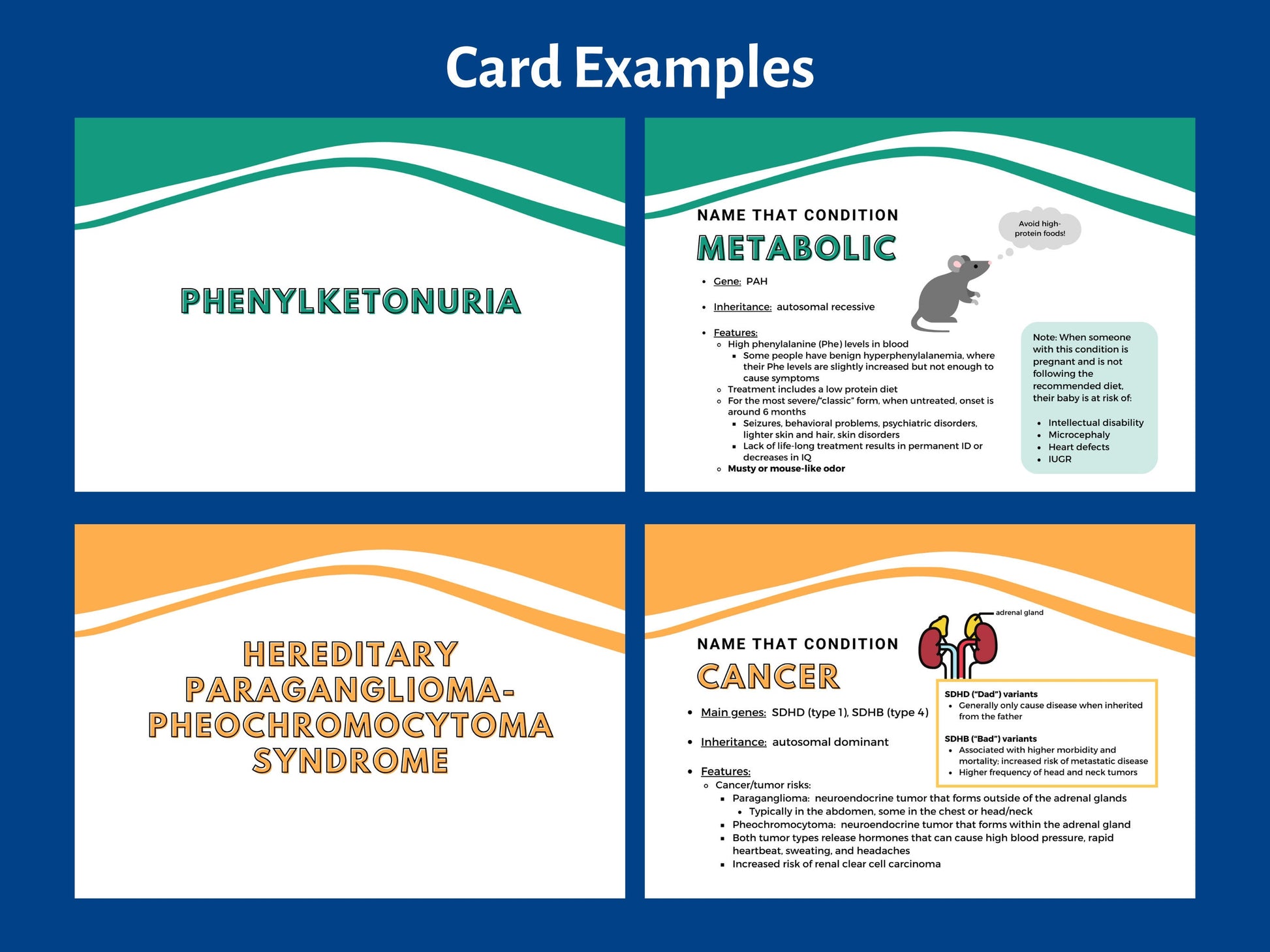 Flashcards: 50 More Conditions to Know- Expansion Pack