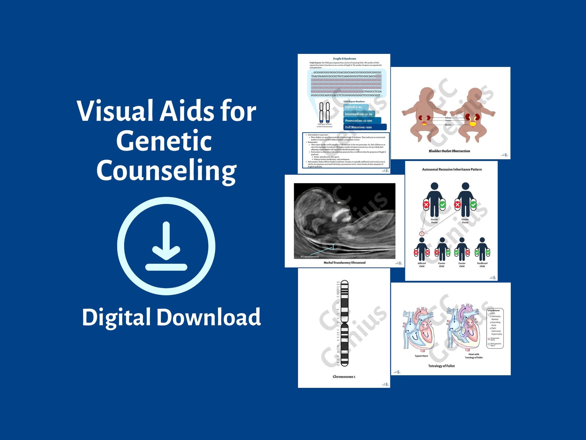 Visual Aids for Genetic Counseling | Digital Download